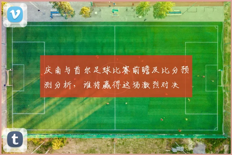 庆南与首尔足球比赛前瞻及比分预测分析，谁将赢得这场激烈对决