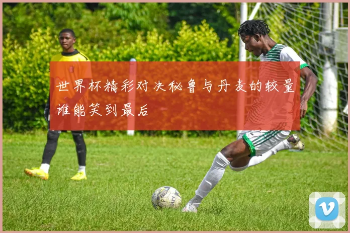 世界杯精彩对决秘鲁与丹麦的较量谁能笑到最后