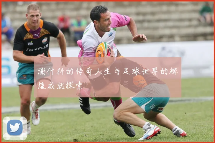 谢什科的传奇人生与足球世界的辉煌成就探索