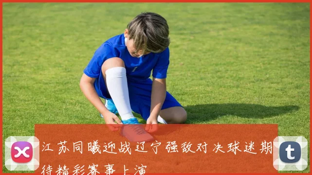 江苏同曦迎战辽宁强敌对决球迷期待精彩赛事上演