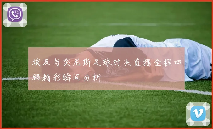 埃及与突尼斯足球对决直播全程回顾精彩瞬间分析