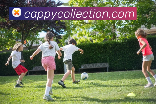 多媒体互动体验